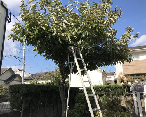 F712628D-9B8E-4099-B327-0DA2759350DE