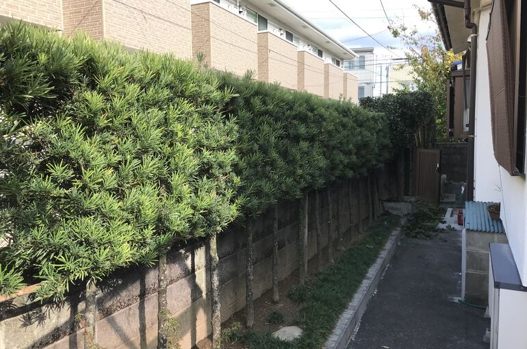 5BA7ECF5-5308-4FE0-929B-A5D03308AB2D