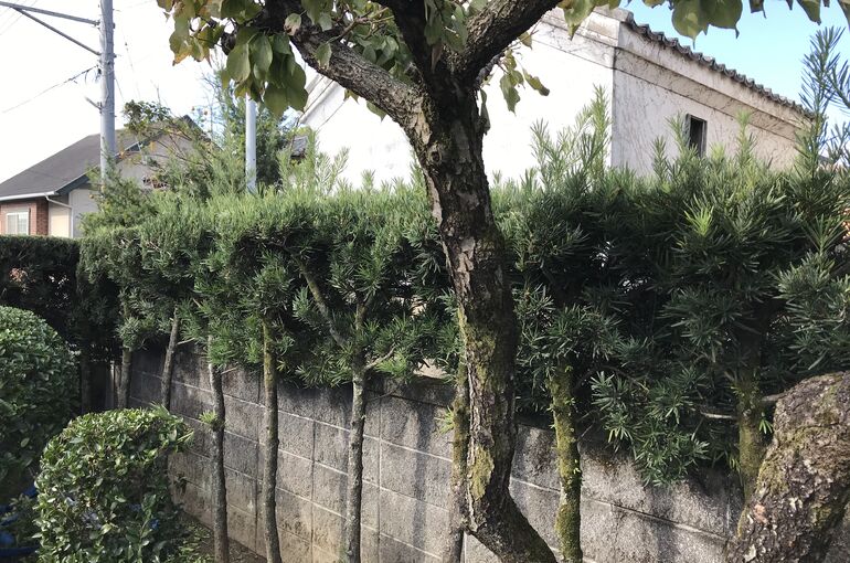 C75FFD12-B497-4E55-873E-E07A34F8D282