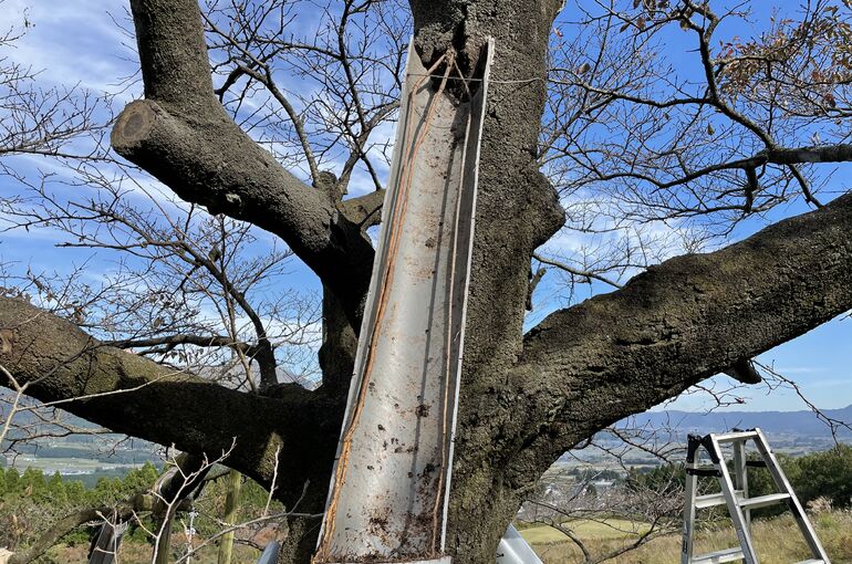 B9783312-DD89-4599-88E2-4BCA4D6930FE