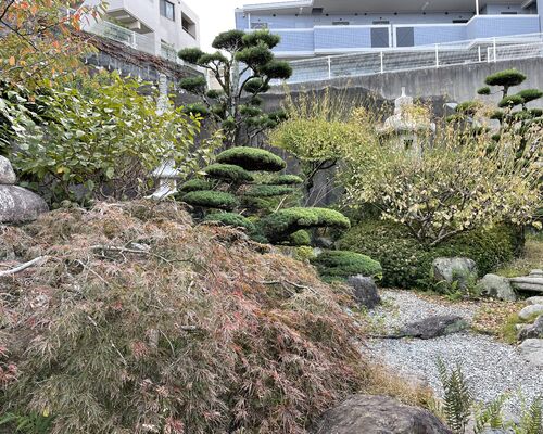 2ABAFB18-A732-4B54-BAA1-FD795656DA87