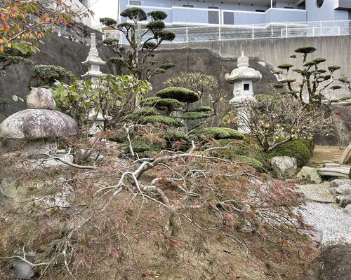 C340617D-3DB6-4320-B30A-7D868E70C47C