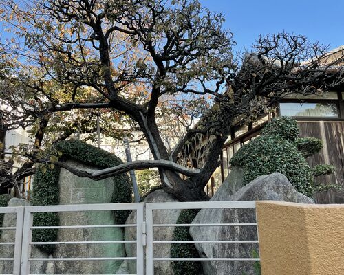 DEF42B61-6676-494A-8CC4-6C960386DAC2