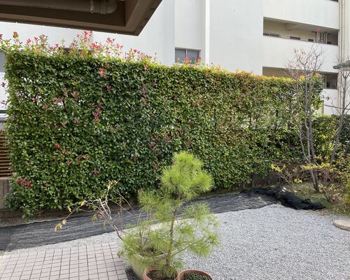 6FC6A490-CD50-4C7B-8E09-5CD3A90FA57E