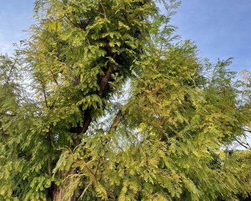 0C4390E1-F698-4B62-A734-57E47D14AF7C