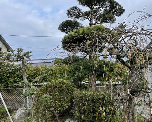 C2A69927-8D4E-4A31-97F0-95D6E3E9EC6C