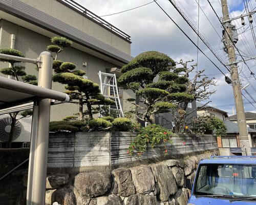 B224E789-30F0-4912-A1A0-7450ABD2826F