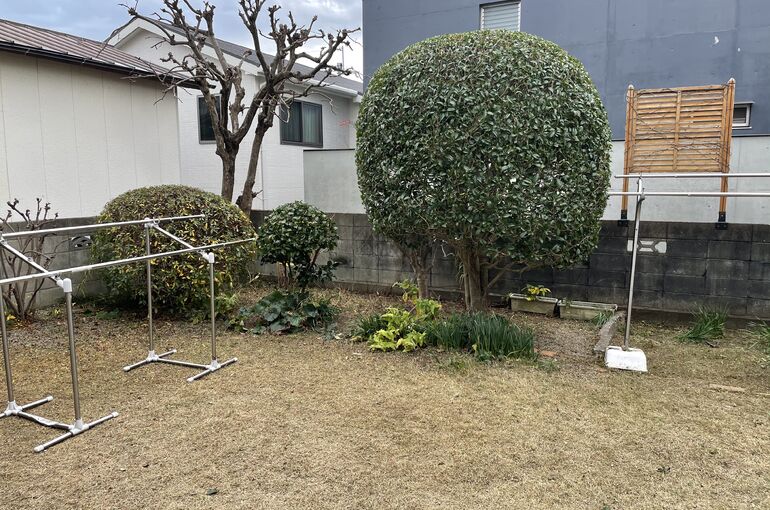B385F2F8-FD7D-4DC4-BCBA-AF90D74F24B6
