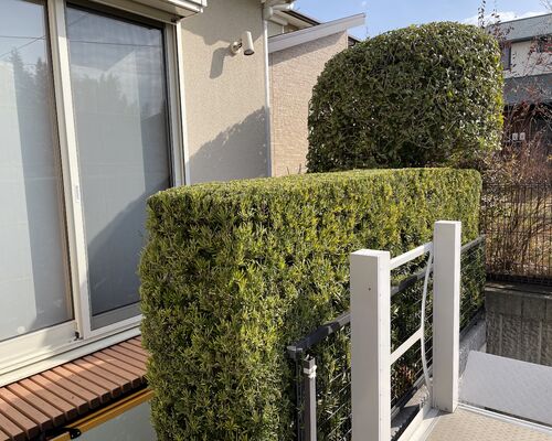 8A7C61D4-FB4E-4893-94E7-65D65390A6B4