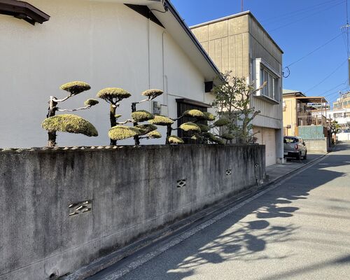 BC15A274-3B10-492E-9F9D-37E474C70D6D