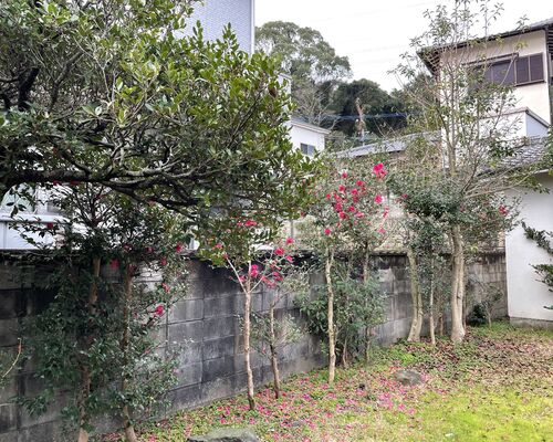 1BA52A26-6C6D-427D-9986-CA3F31DCD8EF