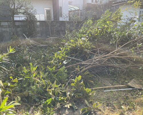 F1498CEB-E371-4FF1-BA87-7E359728F8A5