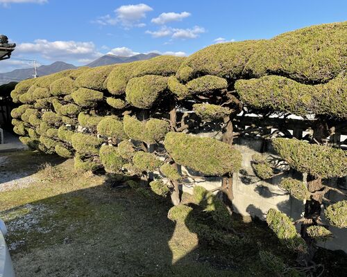 D48D7CE8-B8C7-47FF-9C50-27C13AA5ED61