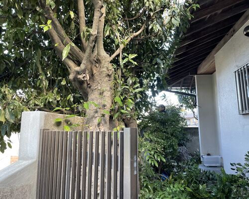 BE9B03D6-22B5-49C2-9675-D54EEB2F8C8D