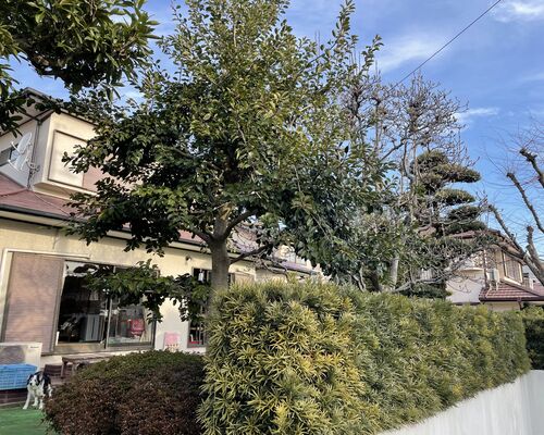 9A25FEC5-3781-4994-A6A1-149E51400C1A