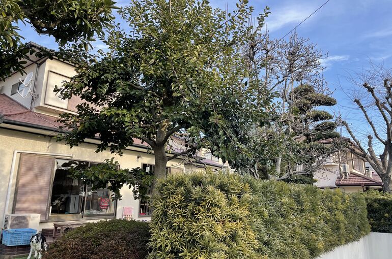 9A25FEC5-3781-4994-A6A1-149E51400C1A