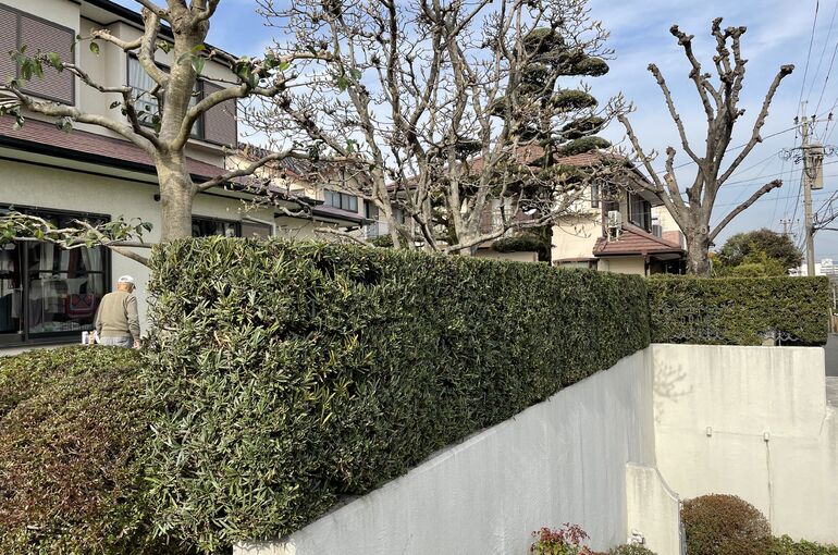 32EDBA25-BDB3-4E51-8B26-42E8CF5BD559