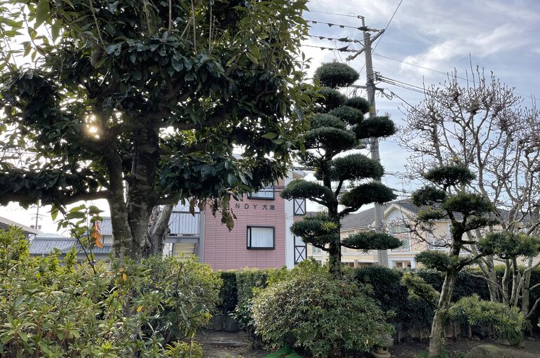 EAEBA2ED-3A3A-4289-B5F4-777EC92CE351