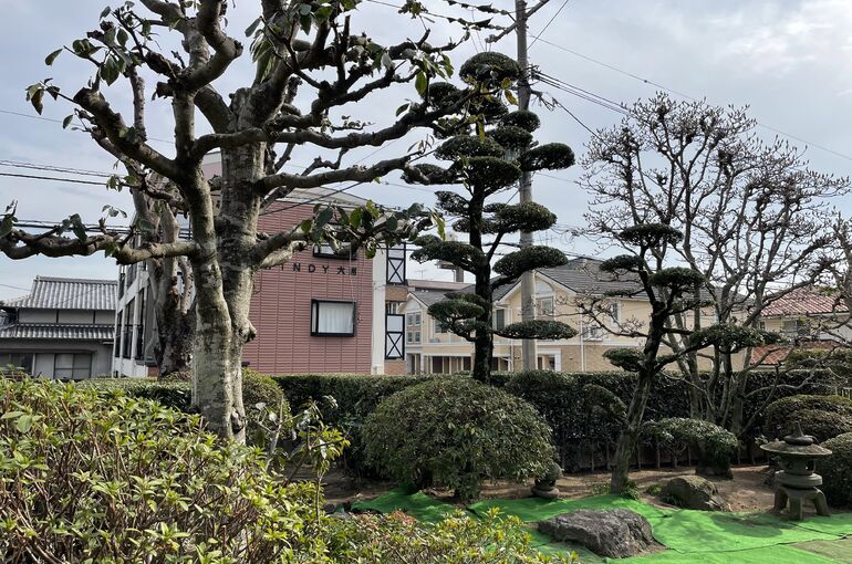 055EBE20-A33F-487E-B609-FFC10F7B04AB