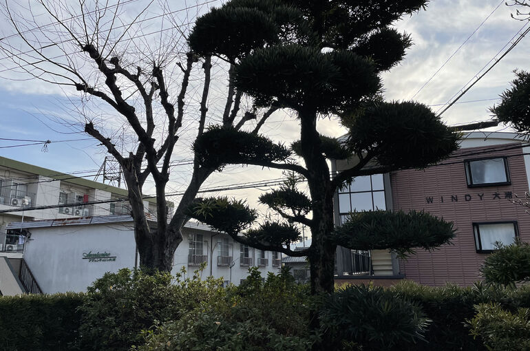 9AF758C3-417B-404A-9740-6F23A6E84018