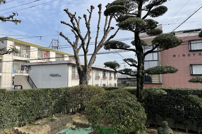 C2E79A88-F7CB-4231-AD6D-FF7642DF13E8