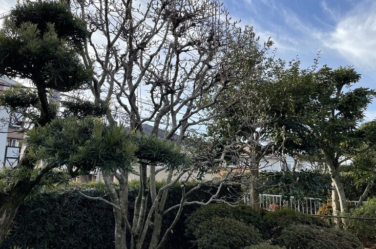 0433568E-8A4B-402D-A3E2-16F1E597BE69