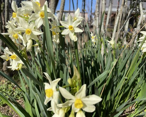 8CBC0C8A-B3AD-4A1D-9A80-36193760589A