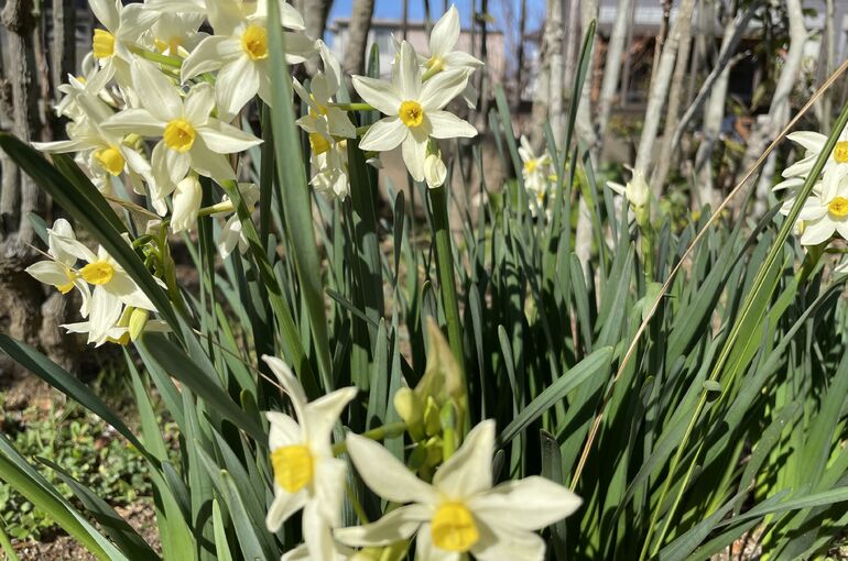 8CBC0C8A-B3AD-4A1D-9A80-36193760589A