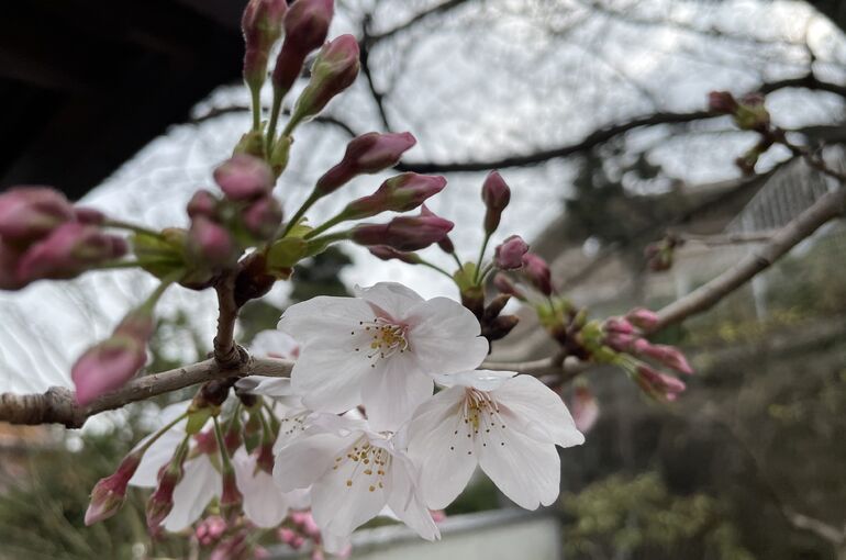 12939CD4-4601-455F-B014-814E908F6DB6