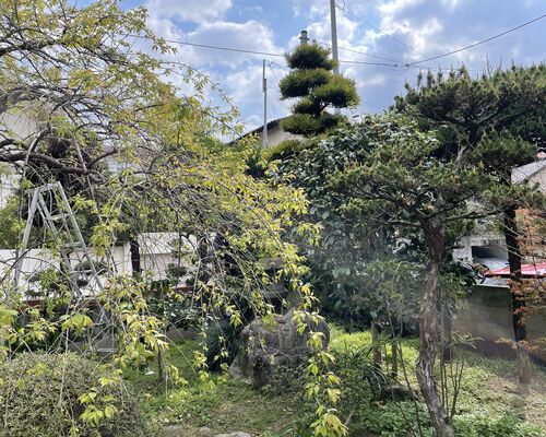 E521E855-8B40-43DD-8FA6-87586CB7D203