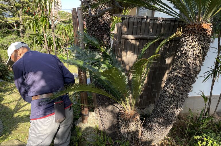 96FDD492-4CD6-4F89-BE44-BF1C2CEDD9EA