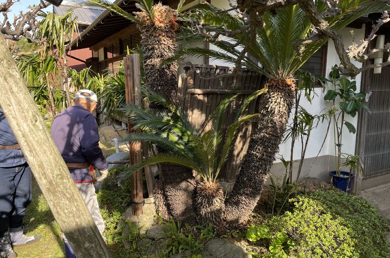 55D7BDFF-4537-4293-B663-68487515BB4C