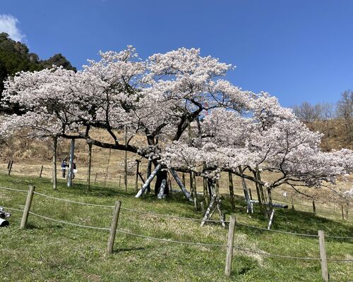 E656D9F4-3B76-4736-98E6-716743DF86A0