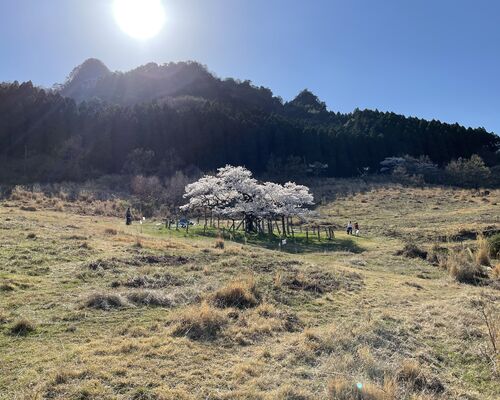 82B6FD67-5240-47E1-A9A5-593AEB1983C4