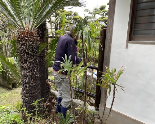 4EAEBC87-DF1C-41B6-AC17-0B9C915D4B84