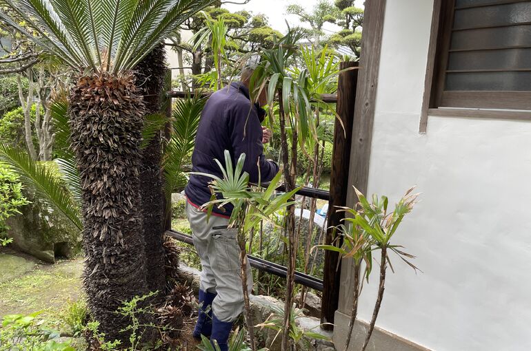 4EAEBC87-DF1C-41B6-AC17-0B9C915D4B84