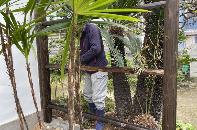 454FB9D3-8FE7-4EB7-A947-D6C51B18703C