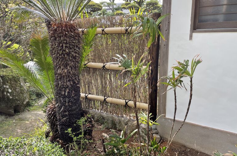 CCD9DF30-176A-43E3-82AC-10ED53828132