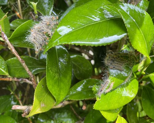 59A31A67-970B-48EF-92F8-C0C8242644D3