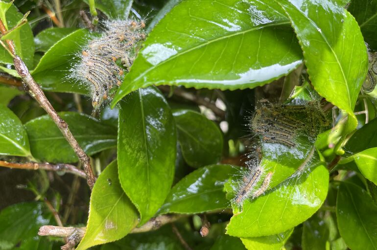 59A31A67-970B-48EF-92F8-C0C8242644D3