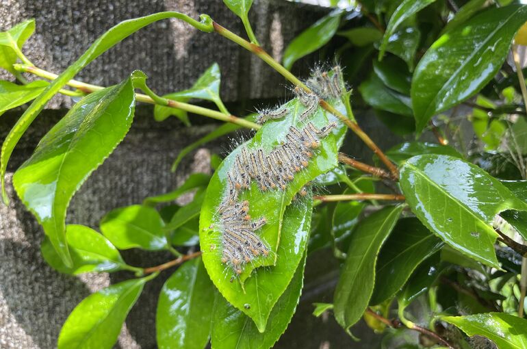 9C2E17FA-392B-4ECD-BD14-5C0209E48939