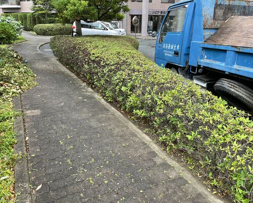 C76D1DE6-E70B-4E11-A70D-C9B8066C31B1