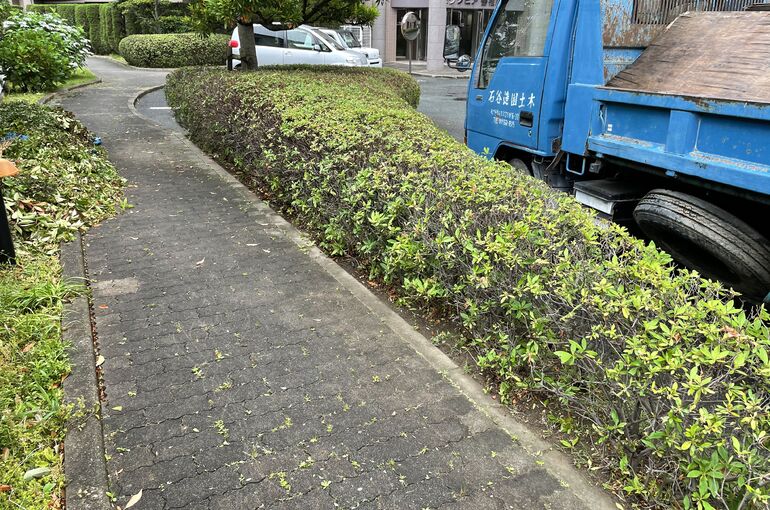 ツツジ類の剪定です 庭造りに関する様々な記事を掲載しております 寛ぎとゆとりの庭を創造する石谷造園土木