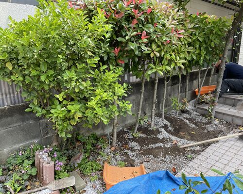 4E5E48B1-20D8-4A99-B823-EA3076A9F553