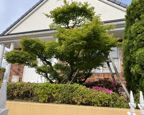 32DBF539-4E6D-478A-BED5-E2938E2CEFC8