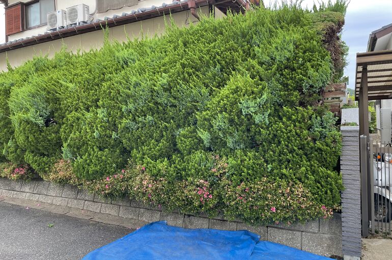 B75FE8BF-FAE7-4E95-8666-8D901A2E9D6E