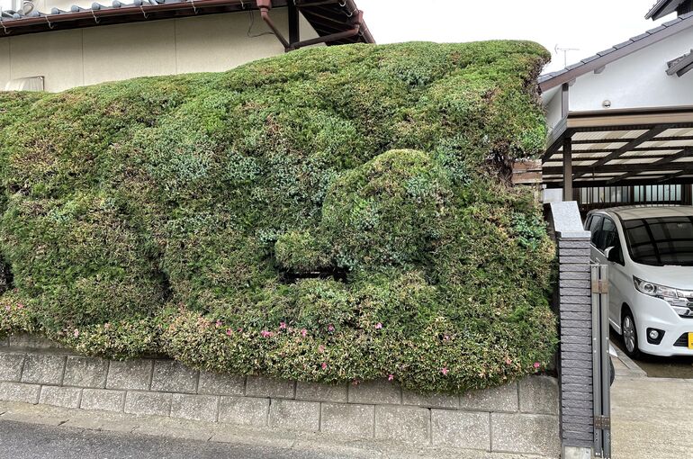 D449DB30-BB10-4E85-8FAA-0521CF74A43C