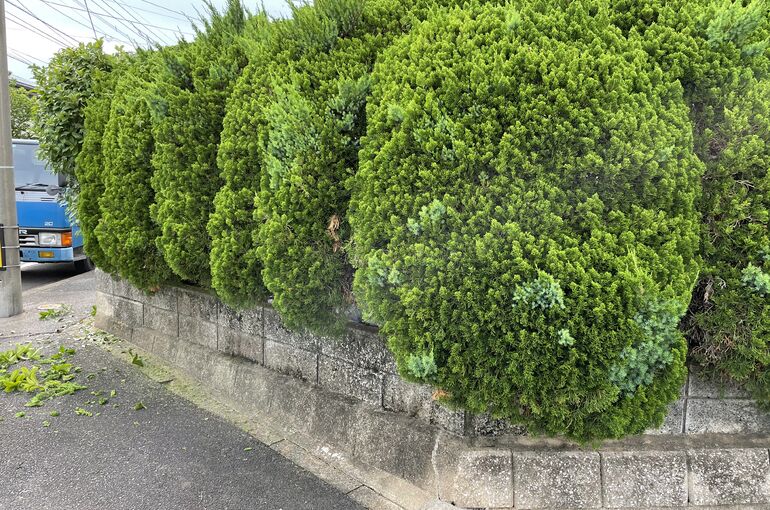 9331BD86-418A-41FA-8F82-655E30368CD9