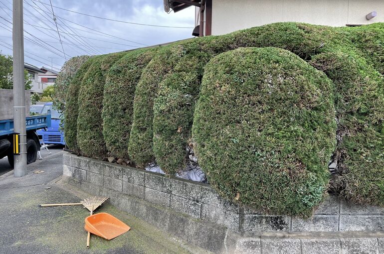 AF2D7F9C-1C7E-43CD-A7B6-5159CF63FE14