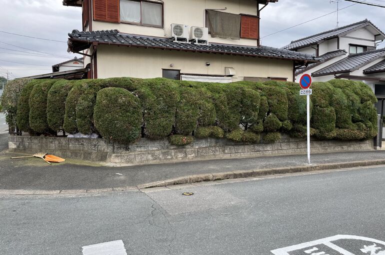 F56DA5B7-569B-4F88-AFCA-95D91AE87A48